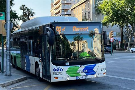 Transport Services in Majorca